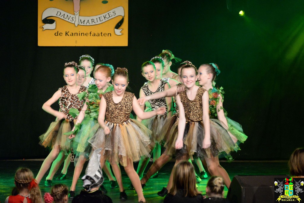 ../Images/Dansmariekefestival 2020 325.jpg